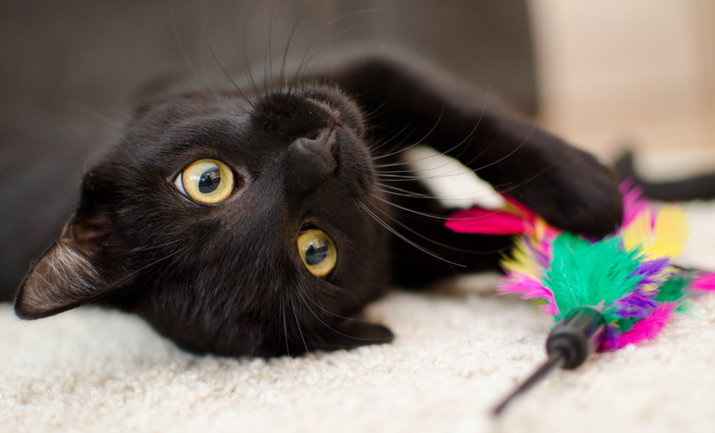 creating a systematic solution